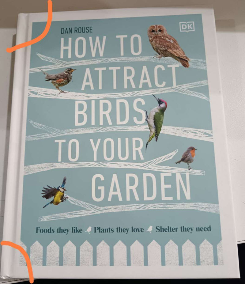 How To Attract Birds To Your Garden