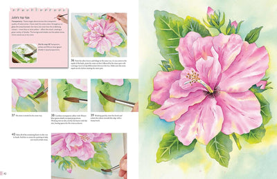 Anyone Can Paint Watercolour Flowers