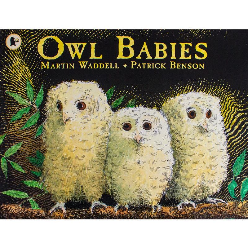 Owl Babies