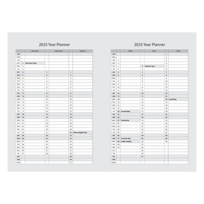 A5 Daily Planner 2025 Abstract David