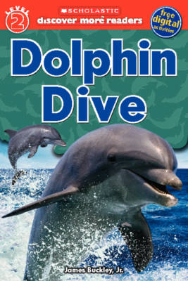 Dolphin Dive