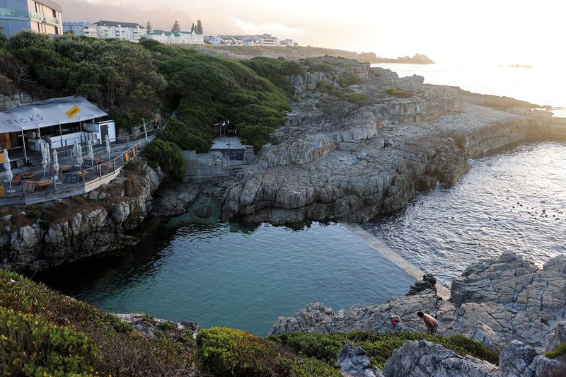 A Guide to Tidal Pools of the Western Cape