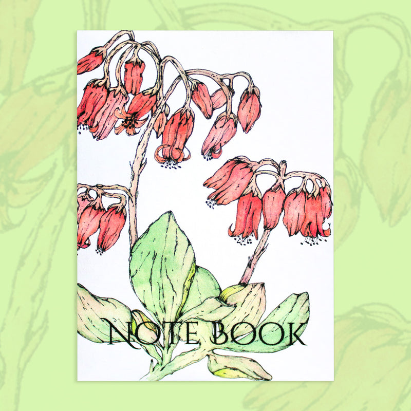 Notebook A7 Pigs Ear