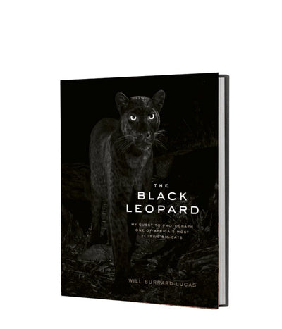 The Black Leopard - Readers Warehouse