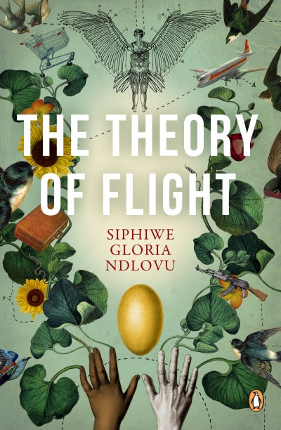 The Theory of Flight