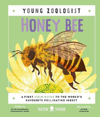 Young Zoologist - Honey Bee